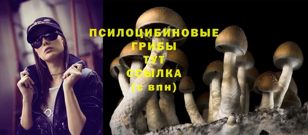 соль ск Балахна