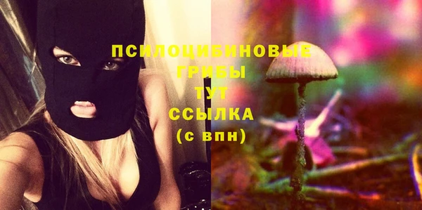соль ск Балахна